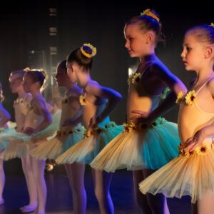 Uw dansstudio