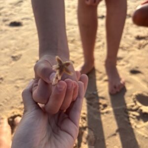Dagboek Seadance – dinsdag 14 juli